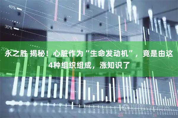 永之胜 揭秘！心脏作为“生命发动机”，竟是由这4种组织组成，涨知识了