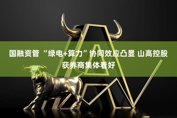 国融资管 “绿电+算力”协同效应凸显 山高控股获券商集体看好