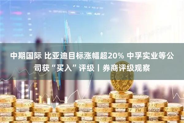 中期国际 比亚迪目标涨幅超20% 中孚实业等公司获“买入”评级丨券商评级观察